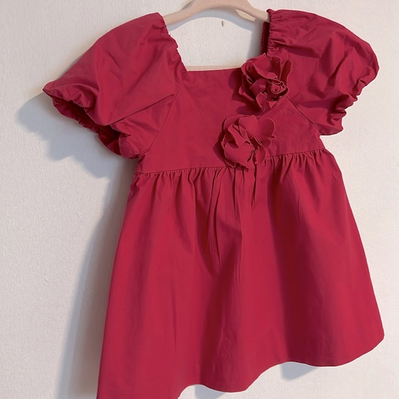 Zara 3D Floral Dress Size:9-12 months| color: Hot Pink - Picture 5 of 8